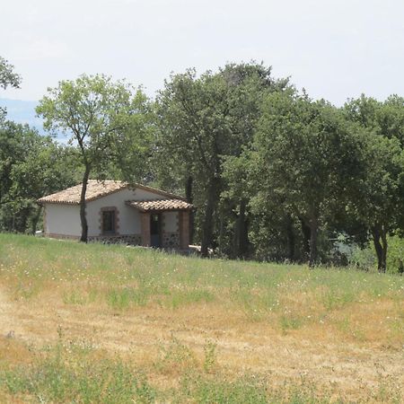 בולסנה Holiday Home Il Podere Del Lago By Interhome מראה חיצוני תמונה